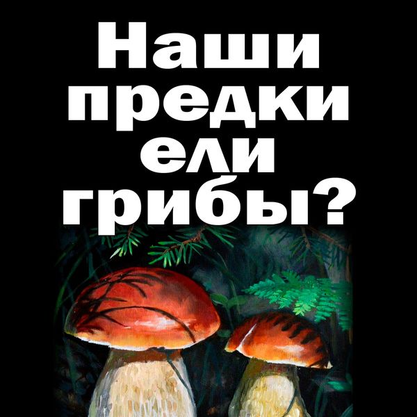 Опасный гриб мухомор. Картинки ядовитых грибов с надписями. К чему снится есть грибы