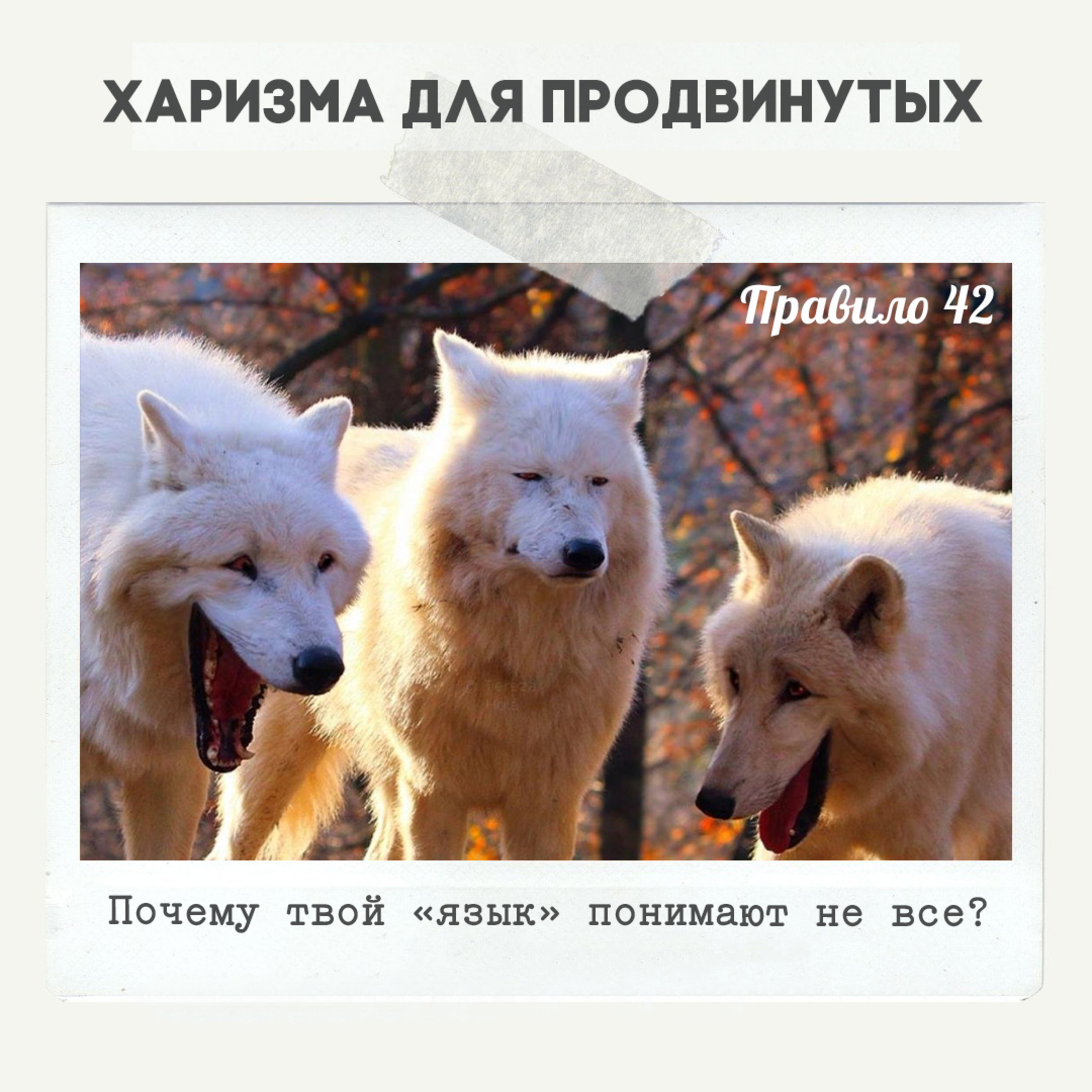 Правило 42. Обольщай и властвуй харизма. Обольщай и властвуй подкаст слушать.